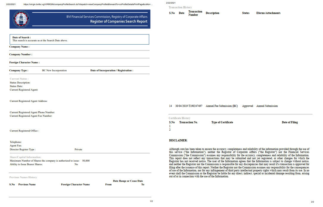 BVI Official Search Template on 2 pages for user reviewal