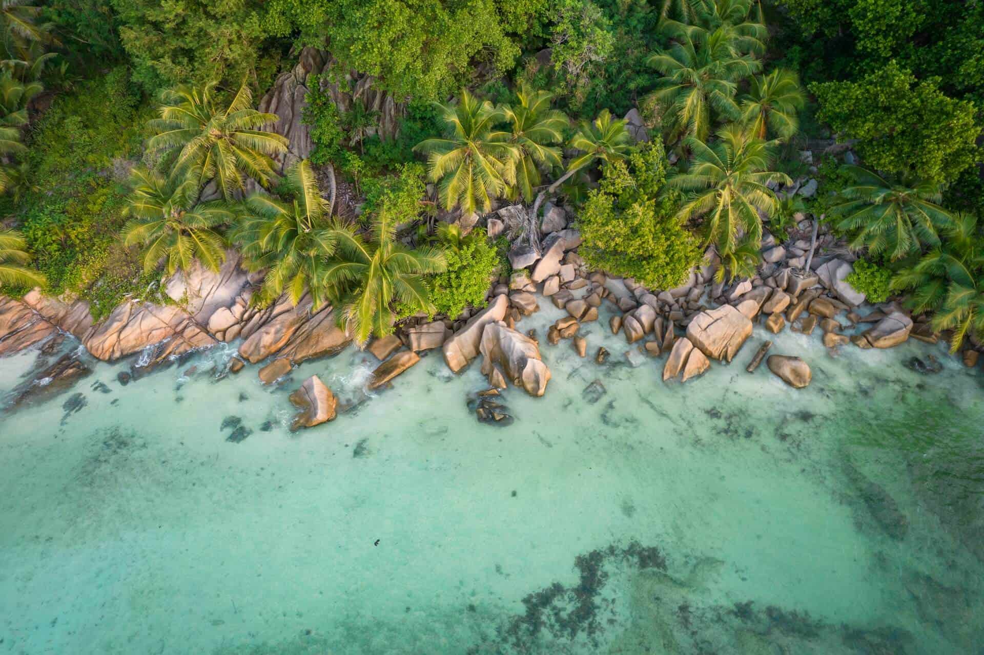 Aerial view of granite boulders and coconut palms along a turquoise lagoon on a Seychelles island coastline