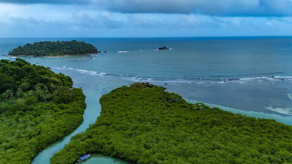 Aerial view of a tropical coastline with dense mangrove forest, a turquoise channel and a small forested island offshore